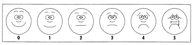 フェイススケール